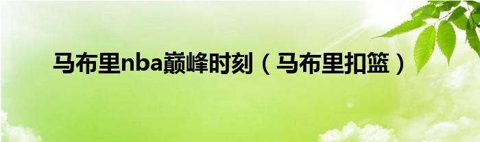 nba巅峰时刻_巅峰时刻的意思_巅峰时刻击败特效是永久的吗