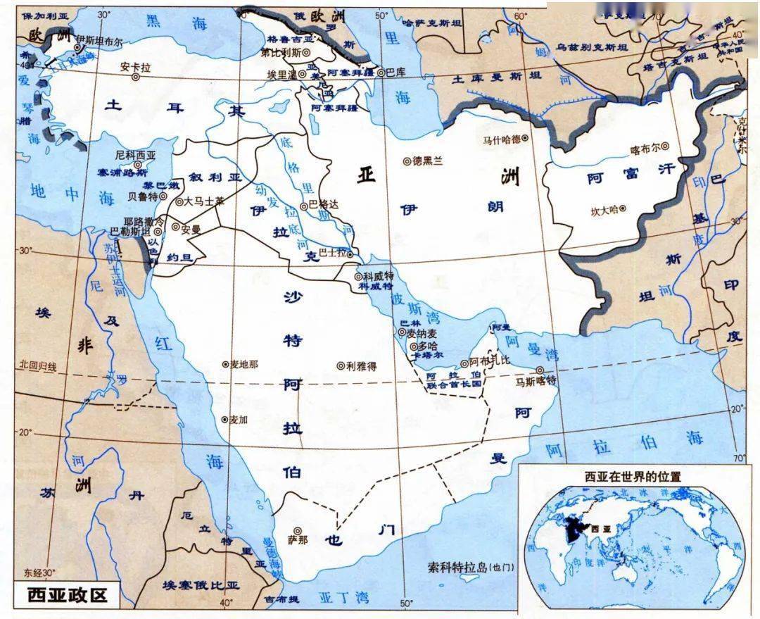 世界树迷宫5和树x_杯梗树萝卜_世界杯 树