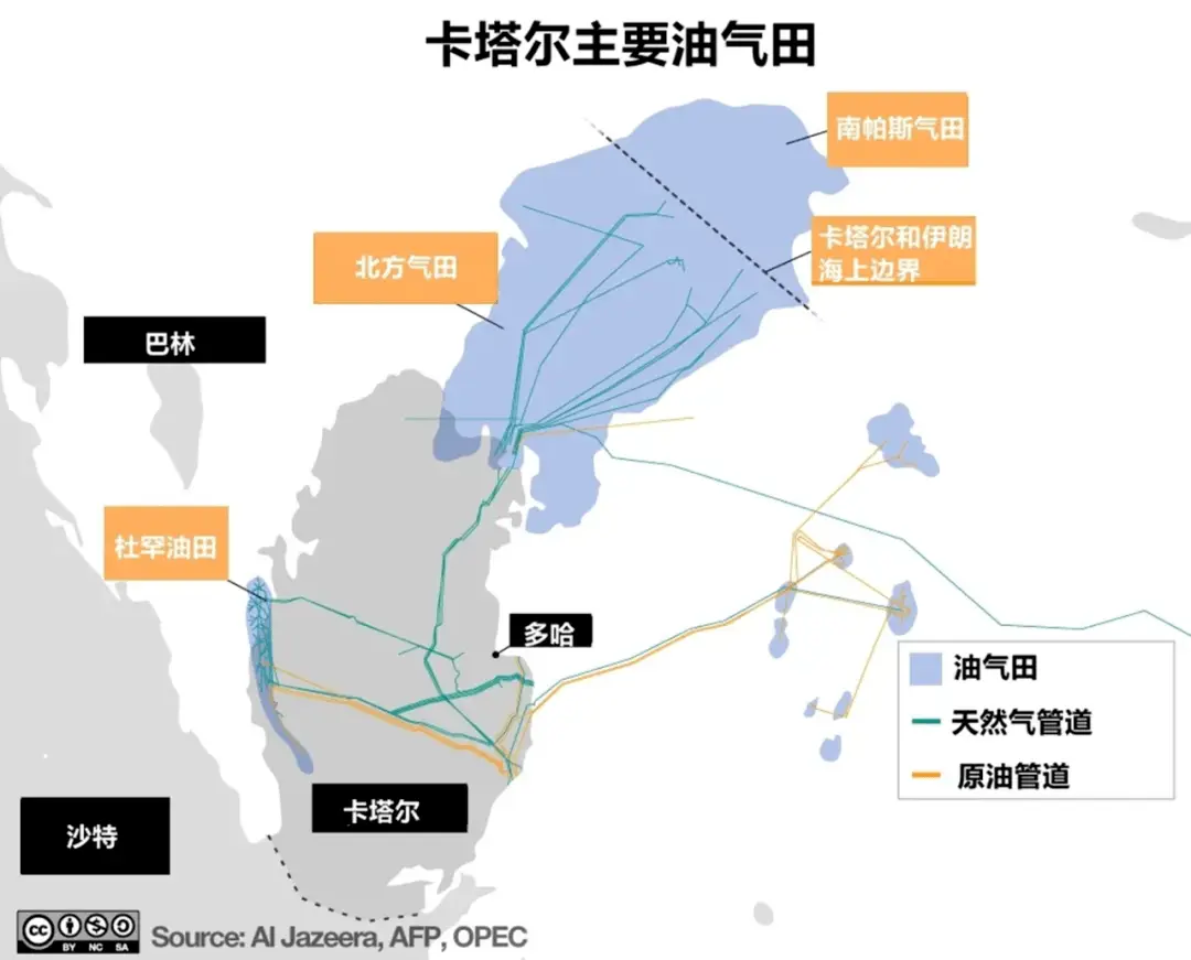 世界杯 树_世界树迷宫5和树x_杯梗树萝卜