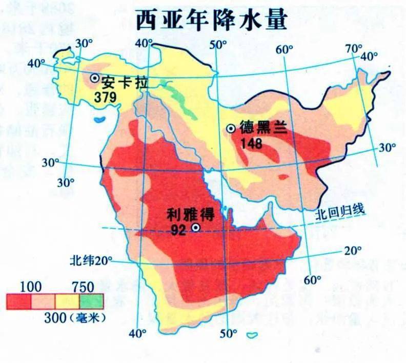 杯梗树萝卜_世界杯 树_世界树迷宫5和树x