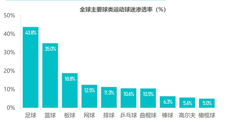 世界杯球迷冲进球场_众多球迷汇集到世界杯举办地_世界杯球迷票