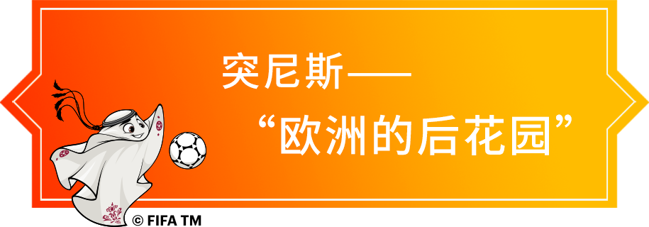 世界杯 燕麦_燕麦杯是什么东西_网红燕麦杯