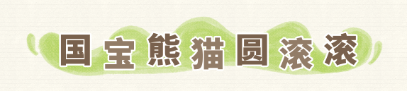 2022卡塔尔世界杯豪华熊猫馆：京京和四海的奢华生活与大熊猫保护的重要性