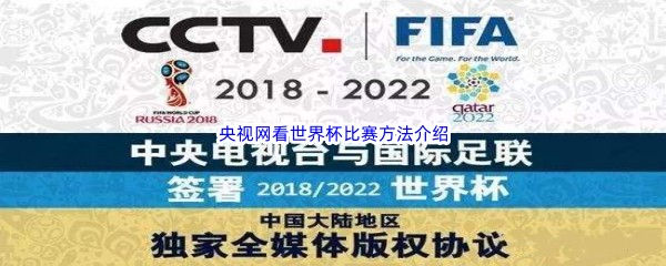 如何用央视网观看世界杯比赛？详细步骤与实用技巧分享