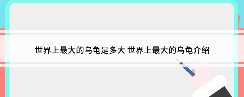 揭秘世界上最大的乌龟：加拉帕戈斯象龟的惊人尺寸与温和性情