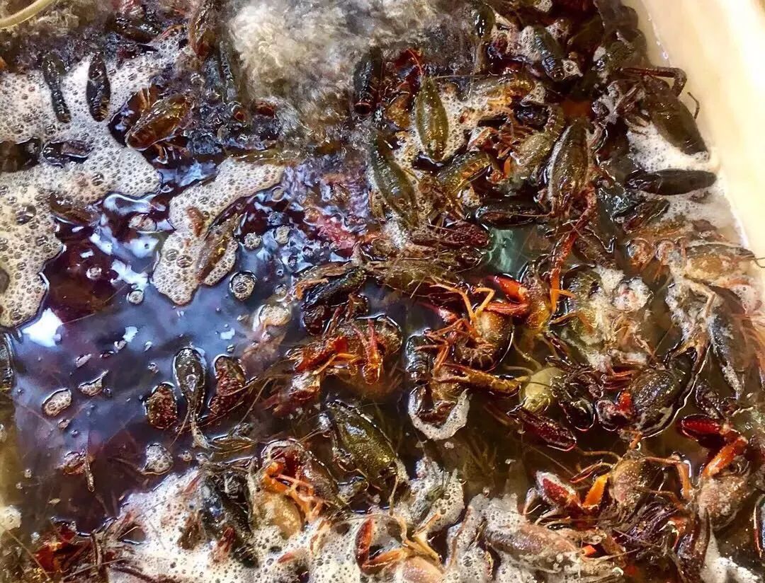 看世界杯烤串_看世界杯烤串_看世界杯烤串