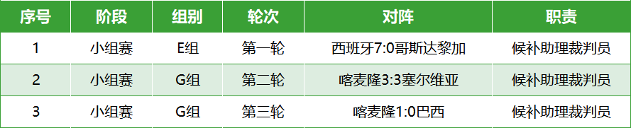 世界杯 裁判_世界裁判员_国际赛事裁判