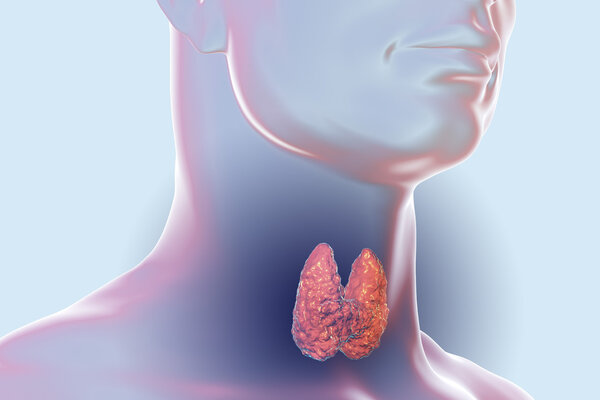 成都甲状腺专科医院排名：华西医院、中医药大学附属医院等优质选择