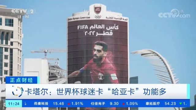 世界学者杯2017_世界杯花艺大赛中国区冠军_世界杯花费