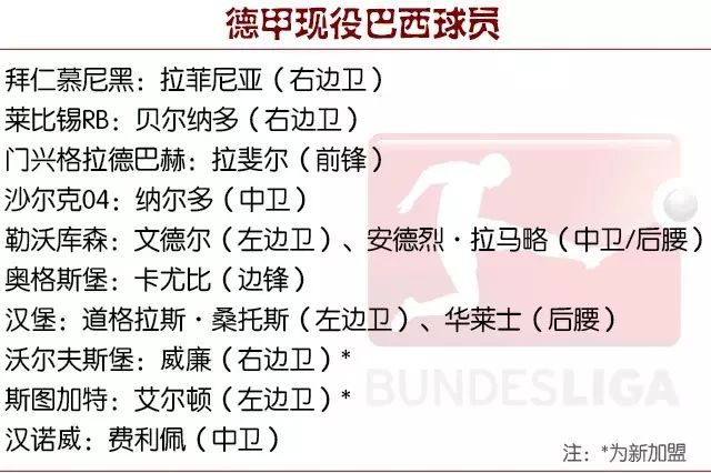 德甲最佳阵容_2016德甲最佳_德甲最佳新人